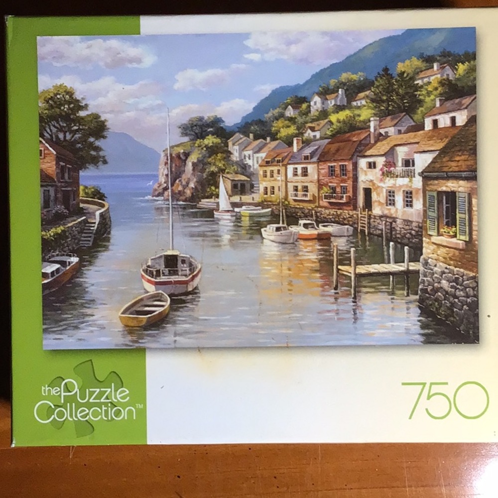 💟🧩 1000 piece “Village on the Water Sung Kim” puzzle. Complete.